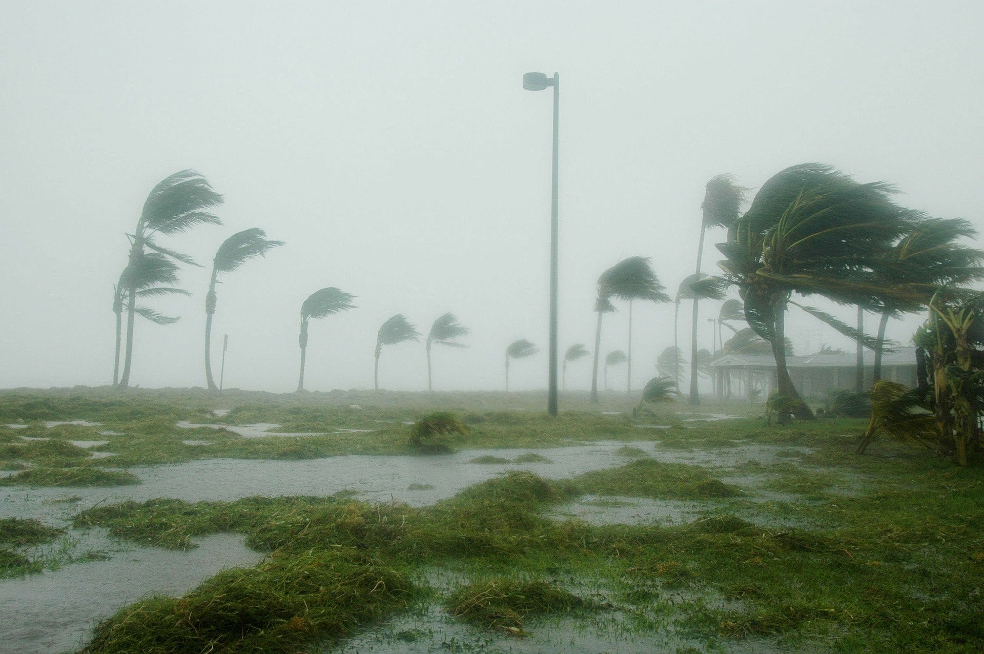 Storm